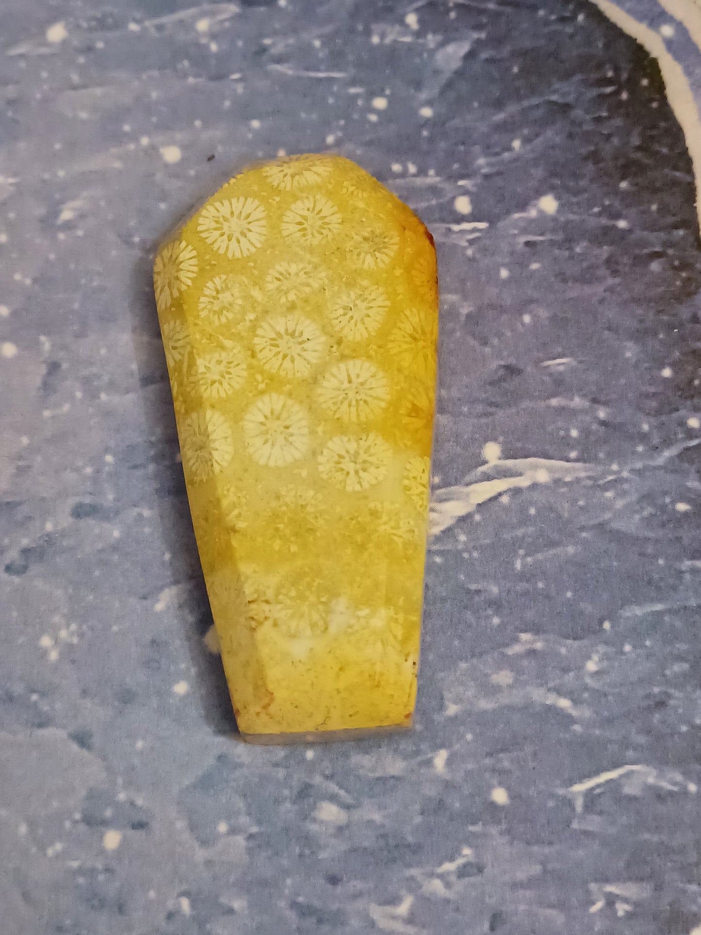 Coffin Shape Crystals