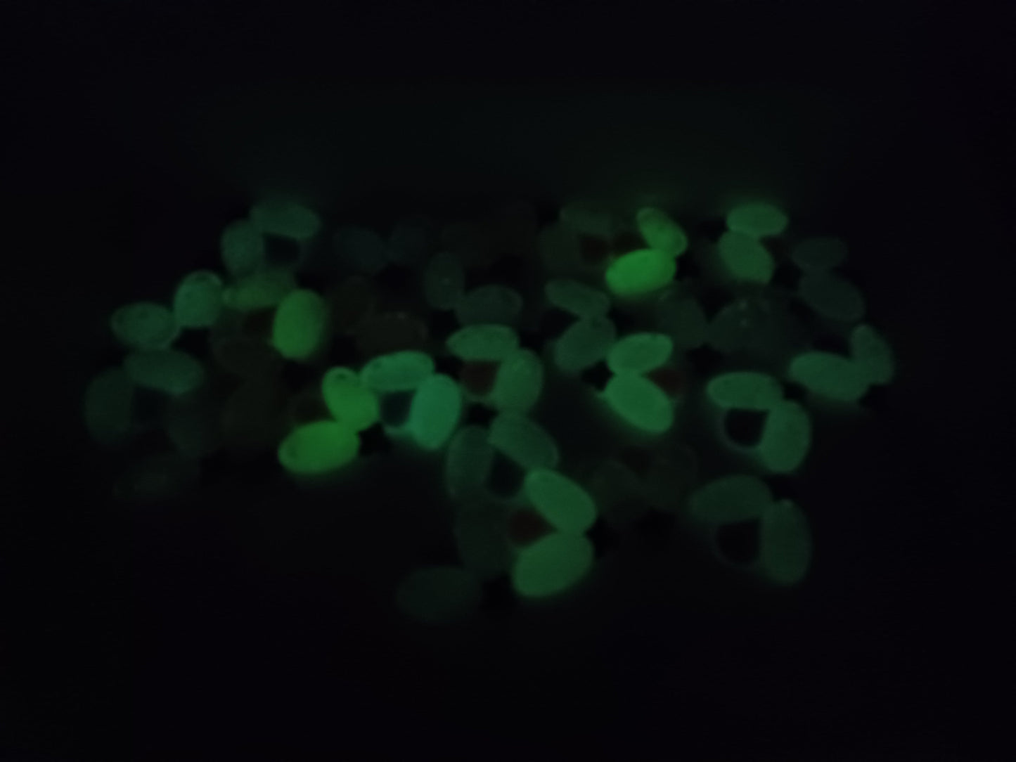 Lady Bug - Glow In The Dark