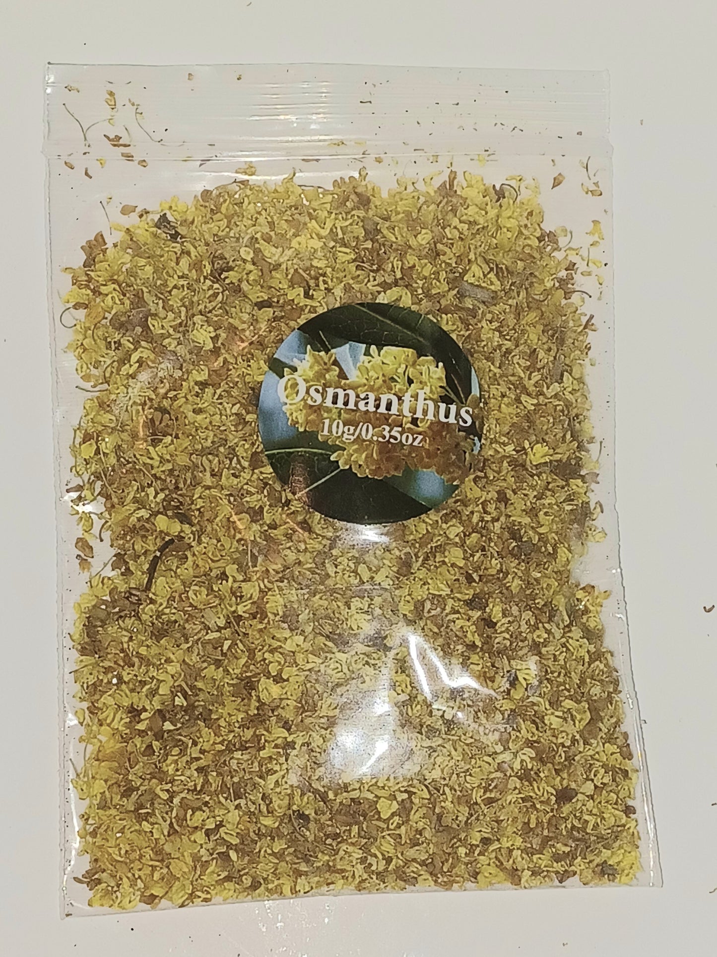 Osmanthus