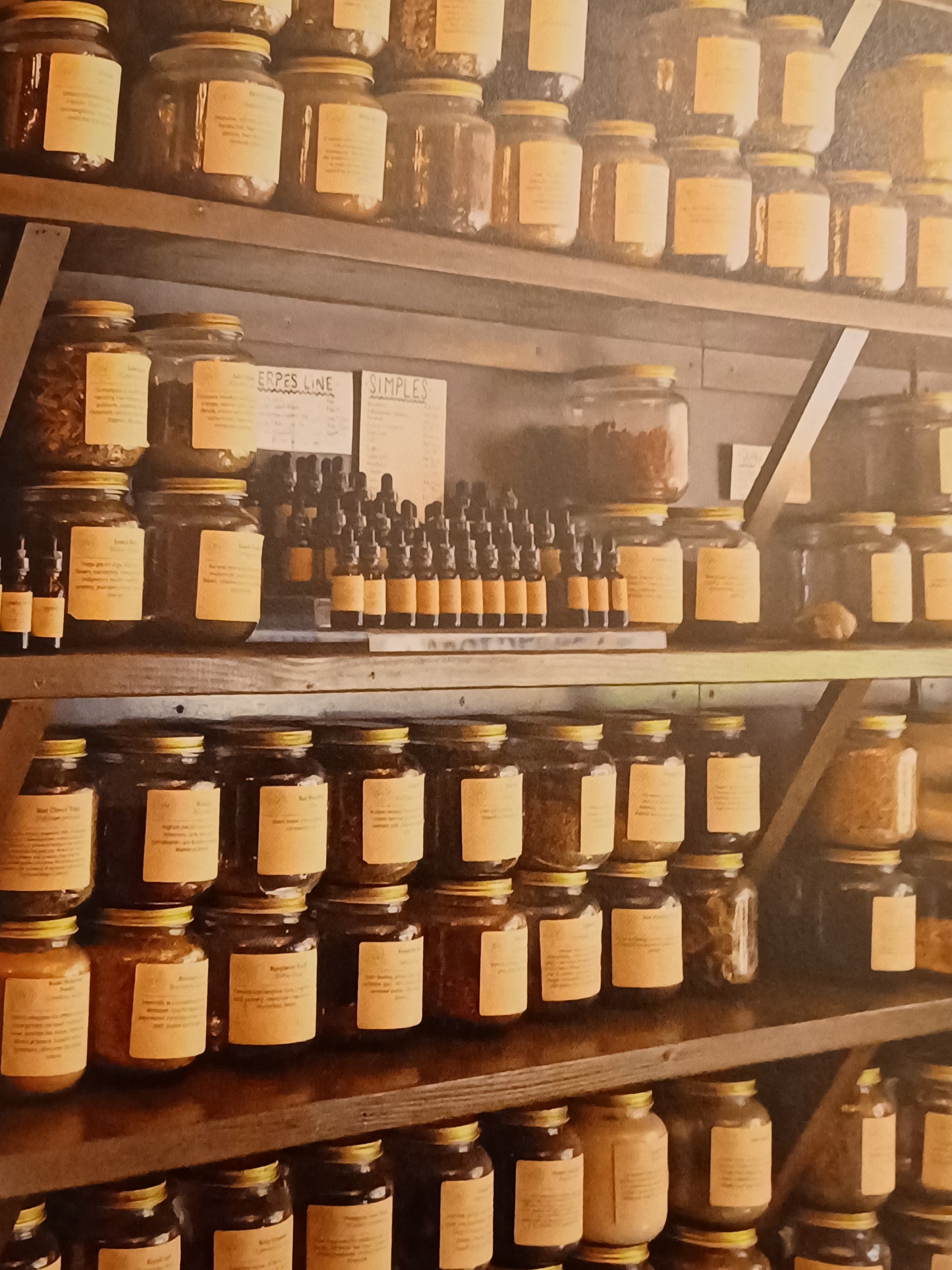 The Art and Practice of Spiritual Herbalism