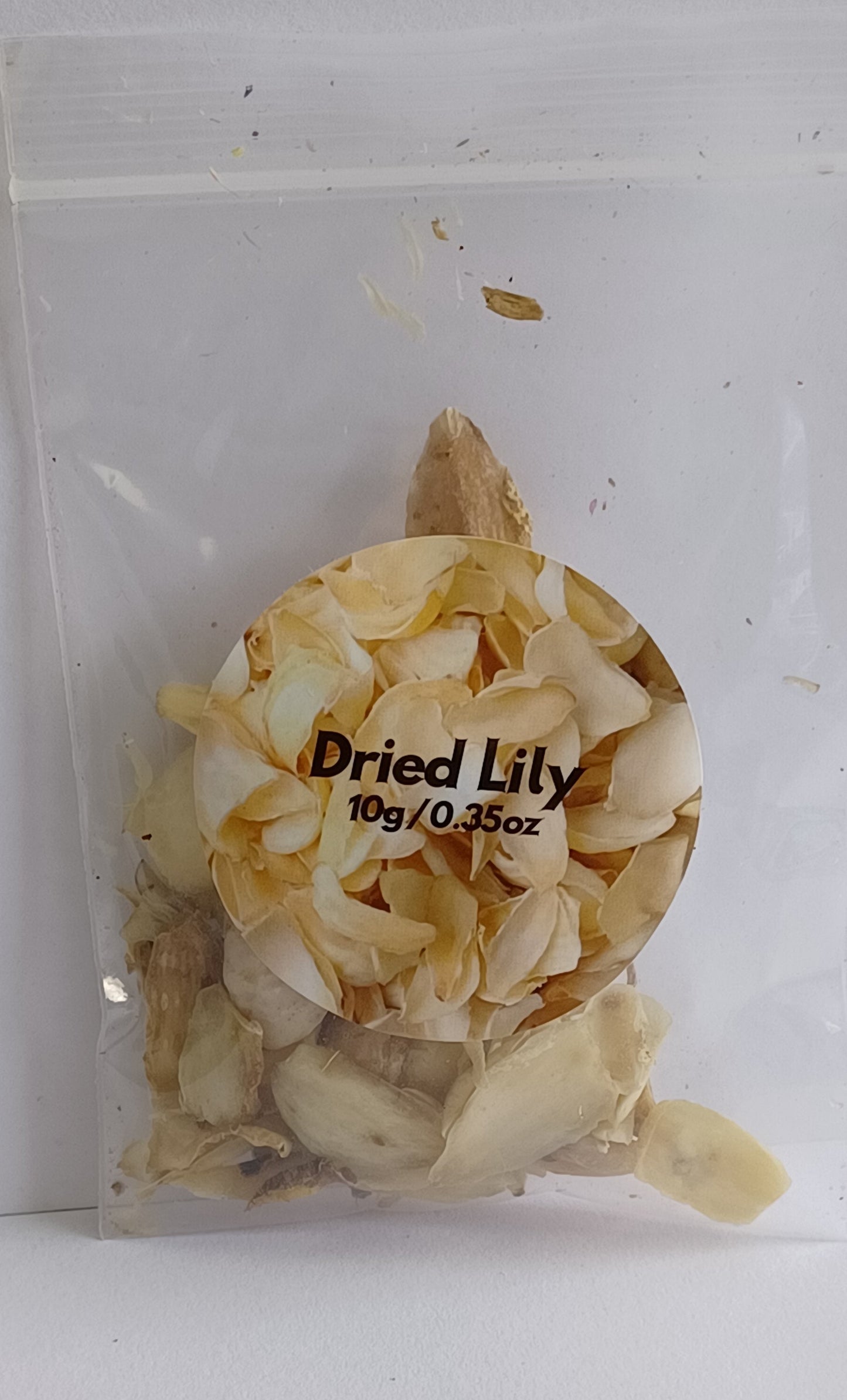 Dried Lily