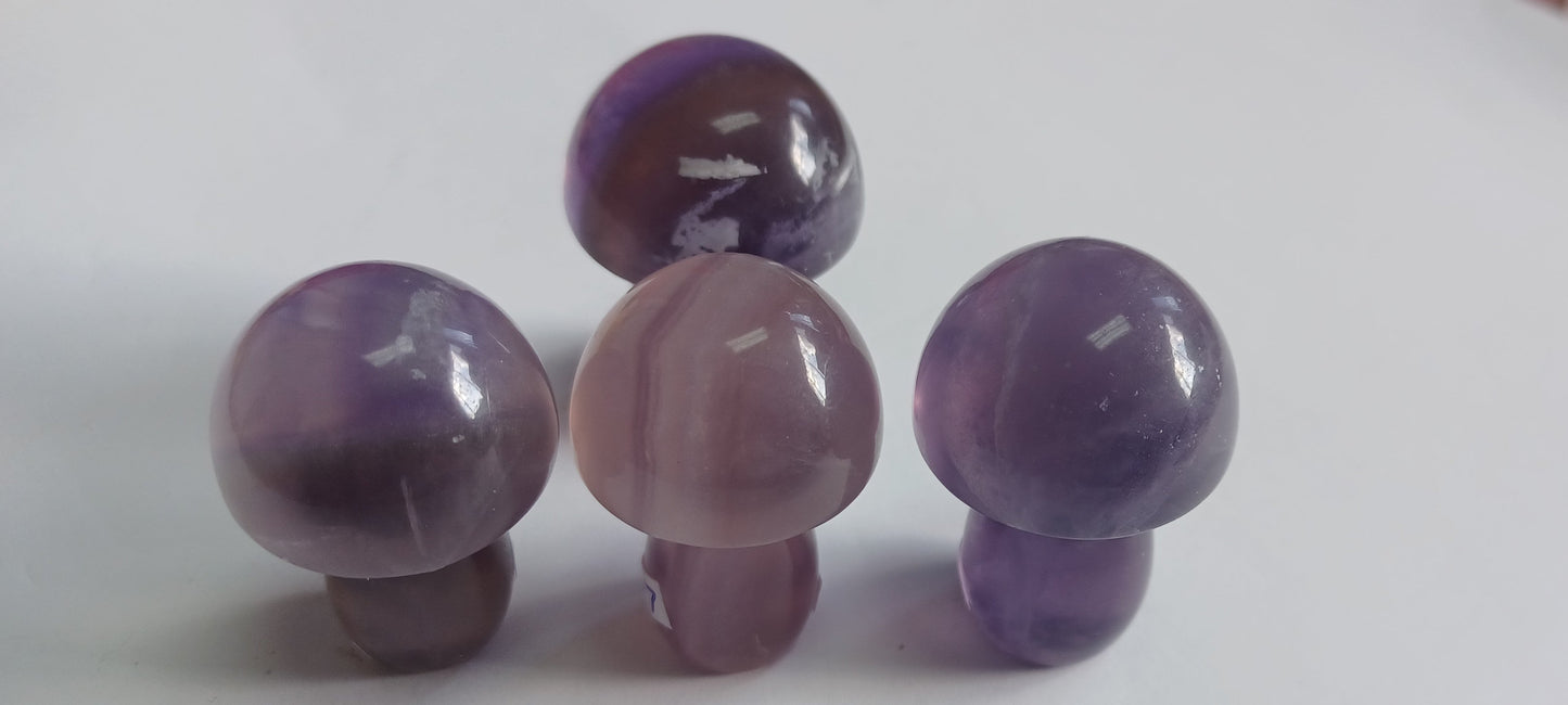 Amethyst Mushroom