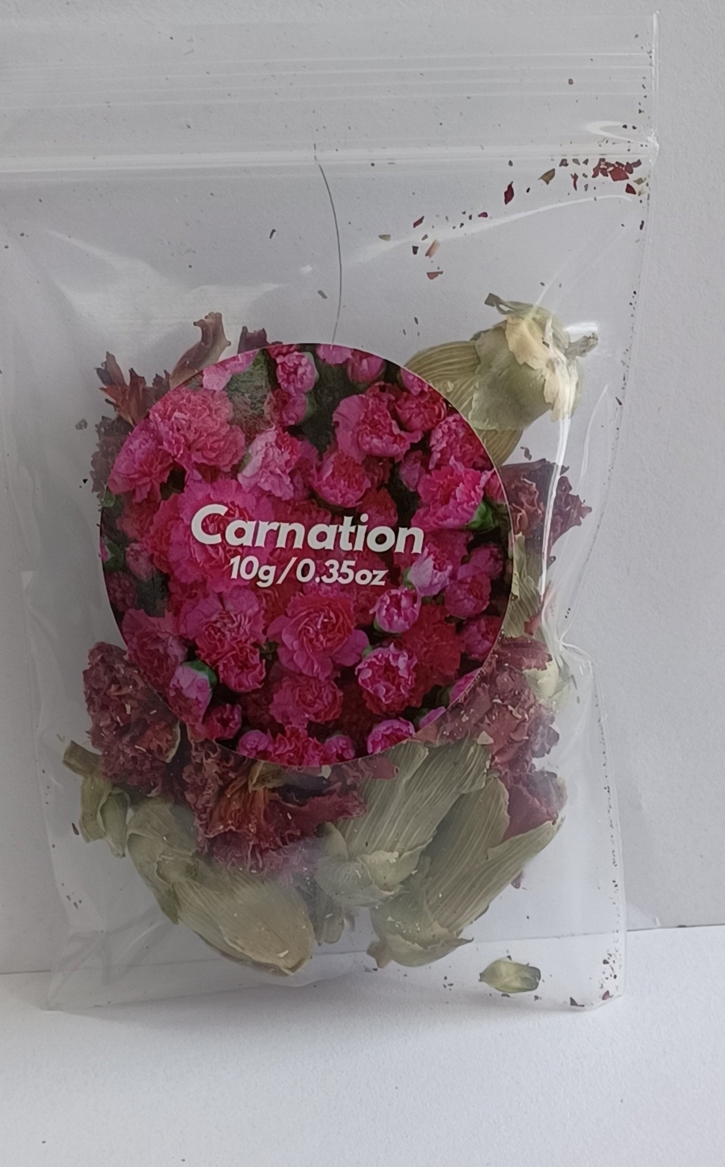 Carnation Flower