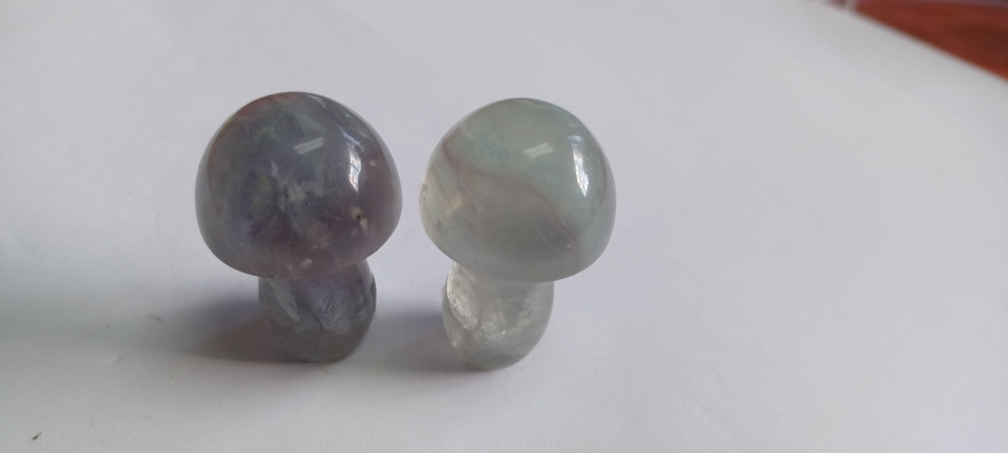 Fluorite Mushroom