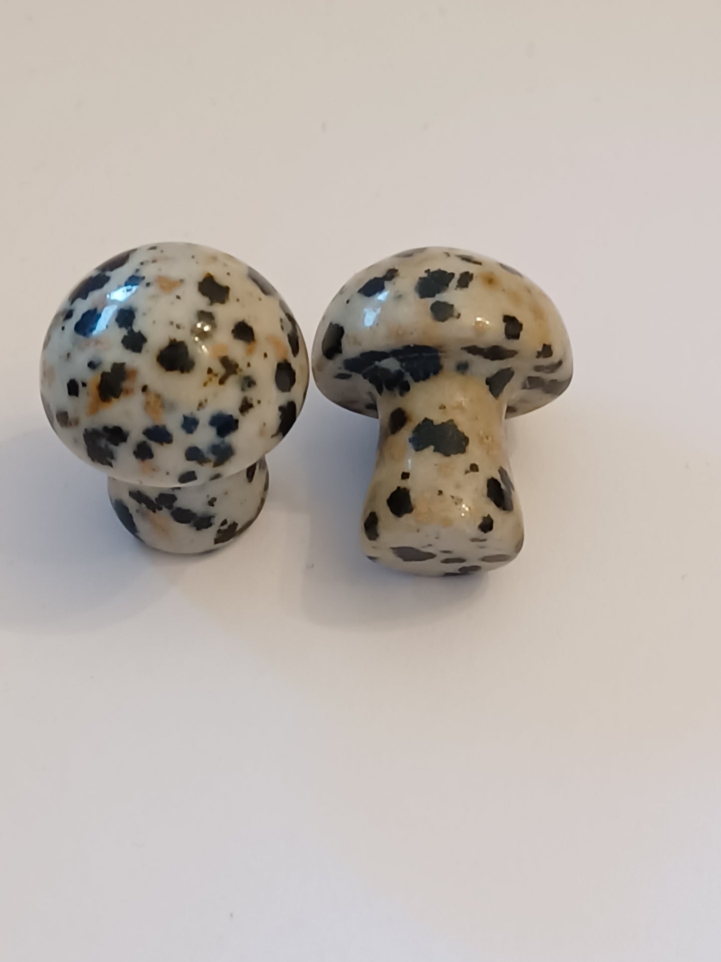 Little Mushrooms (1 Piece)