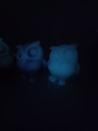 Owl - Glow in the Dark