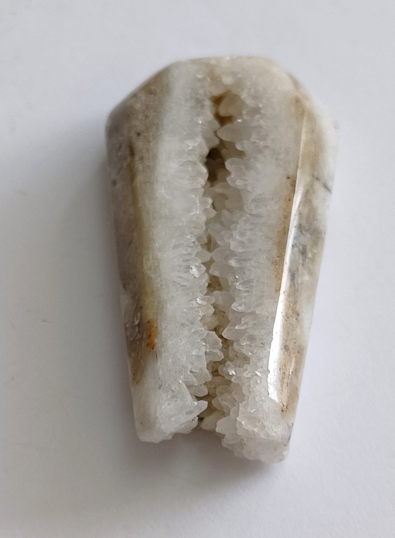 Coffin Shape Crystals