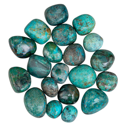 Chrysocolla Tumbled 1lb