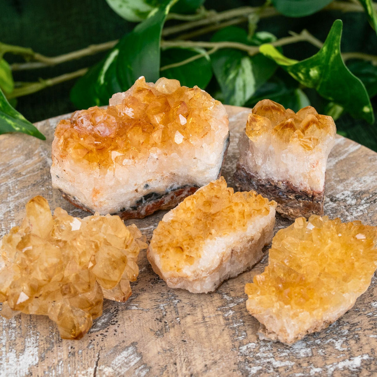 Citrine Druze