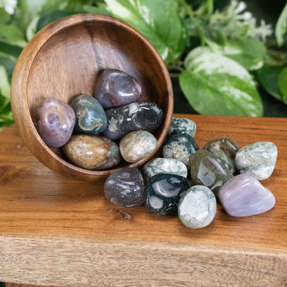 Green Moss Agate Tumbled 1lb