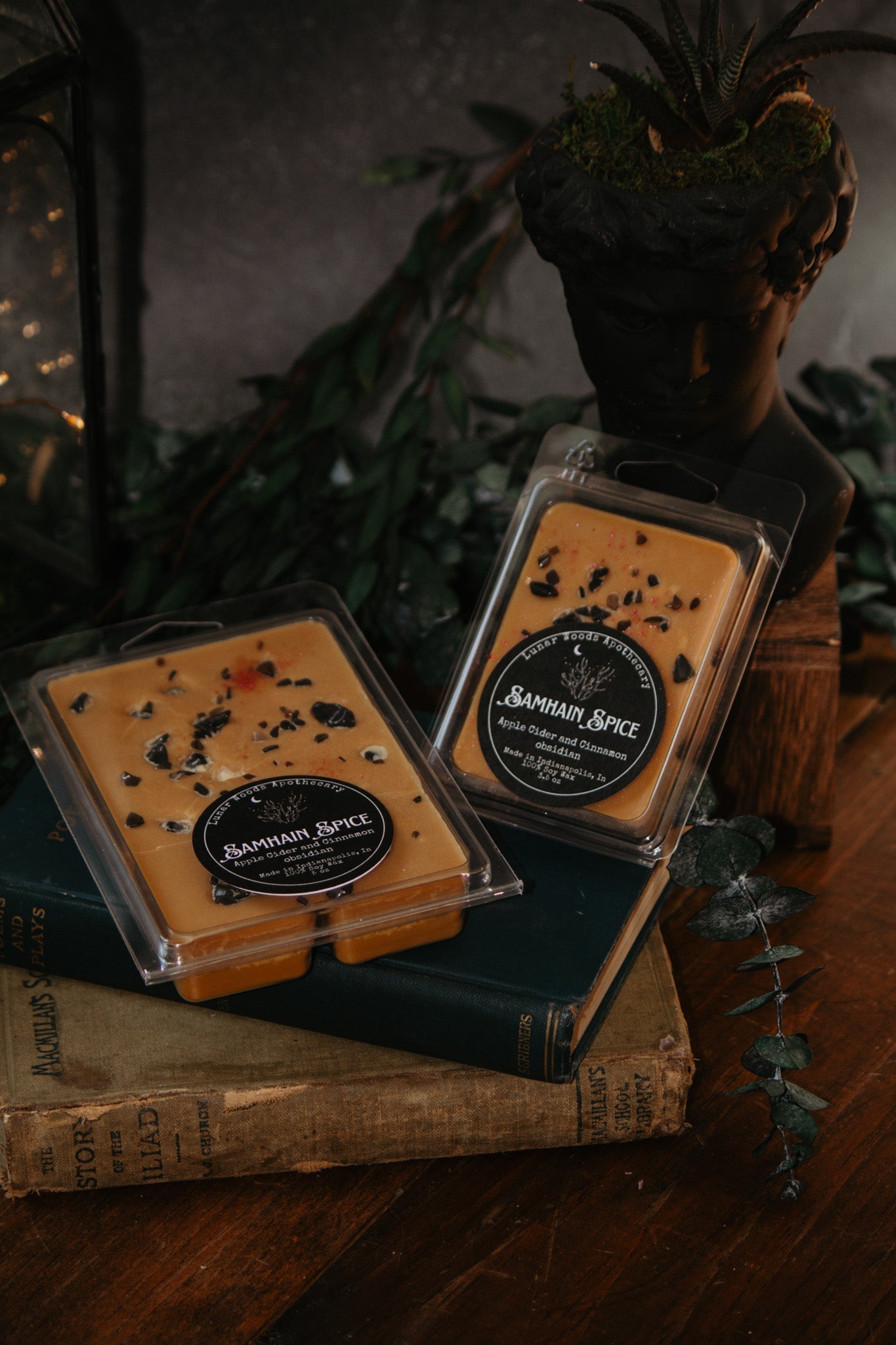 Samhain Spice — Witchy Wax Melts