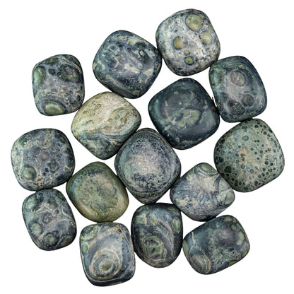 Kambaba Jasper Tumbled