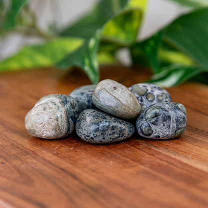 Kambaba Jasper Tumbled