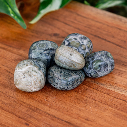 Kambaba Jasper Tumbled