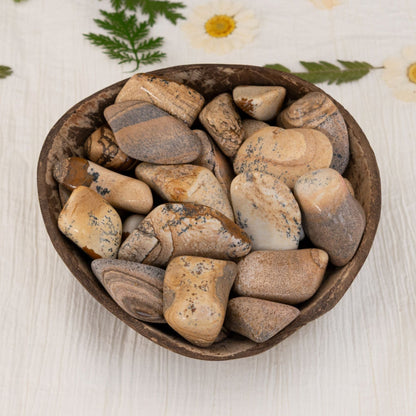 Picture Jasper Tumbled
