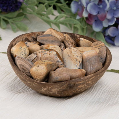 Picture Jasper Tumbled