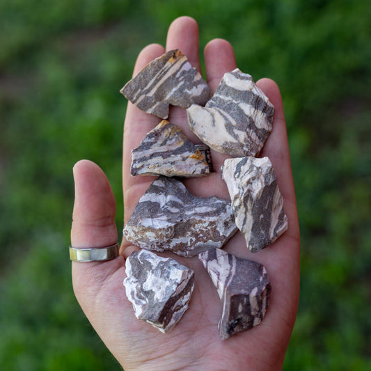 Zebra Jasper Raw