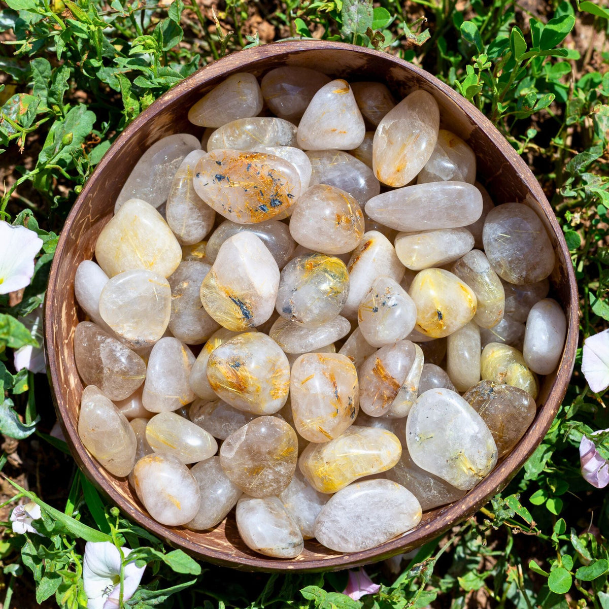 Rutilated Quartz Tumbled 1lb