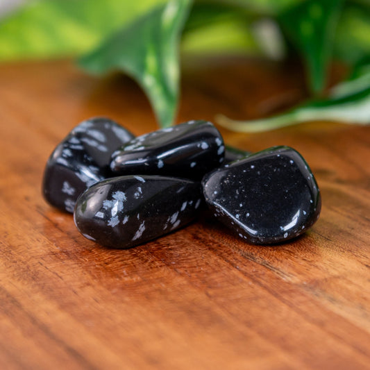 Snowflake Obsidian Tumbled 1lb