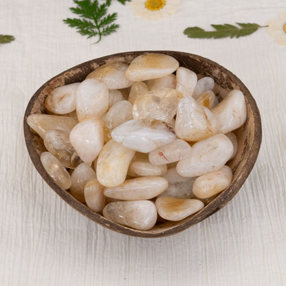 Citrine Tumbled 1lb