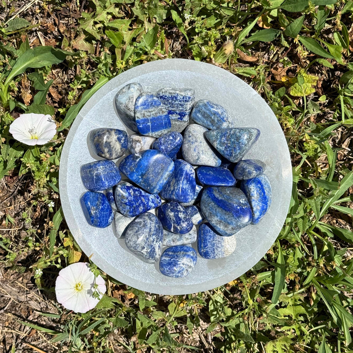 Lapis Lazuli Tumbled