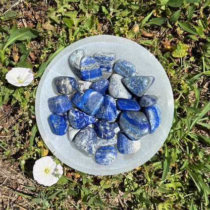 Lapis Lazuli Tumbled