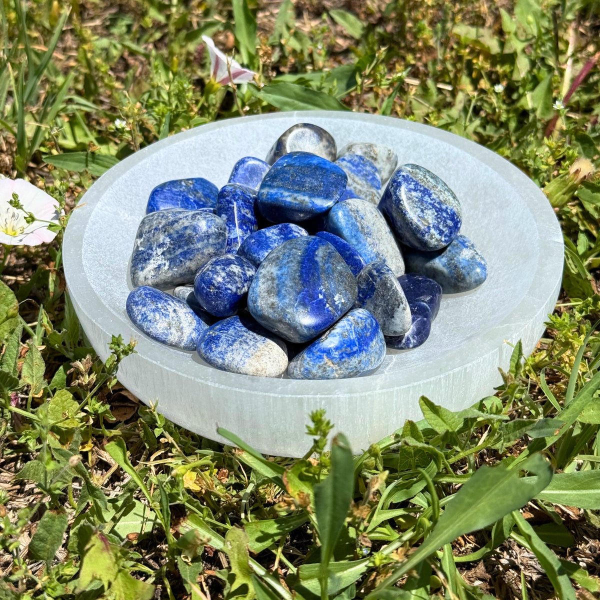 Lapis Lazuli Tumbled