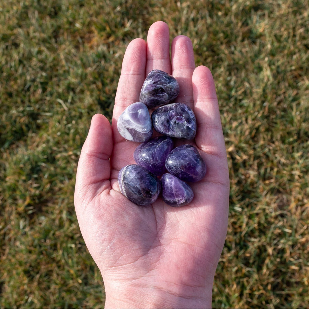 Amethyst Tumbled 1lb