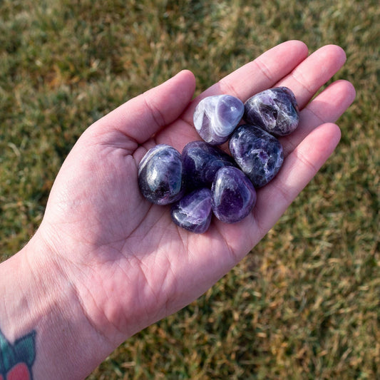 Amethyst Tumbled 1lb
