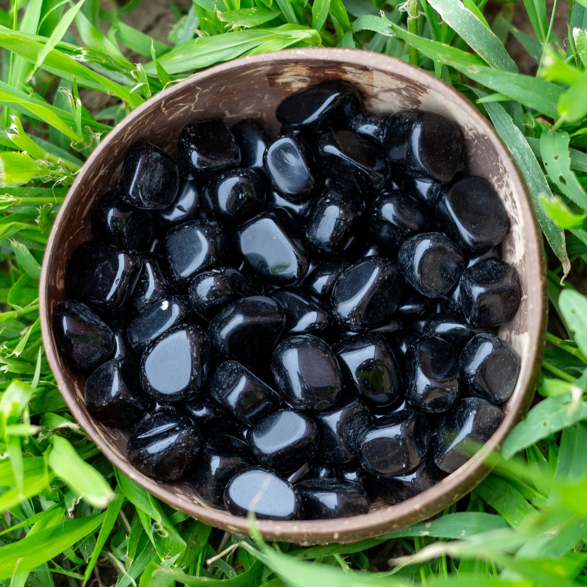 Black Obsidian Tumbled 1lb