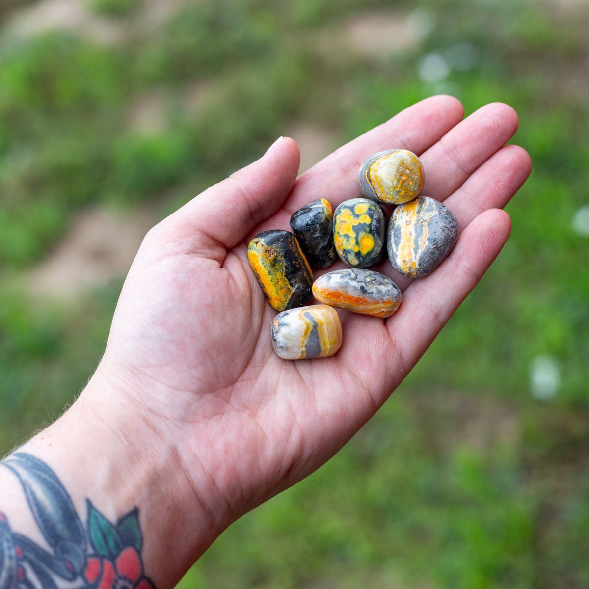Bumblebee Jasper Tumbled
