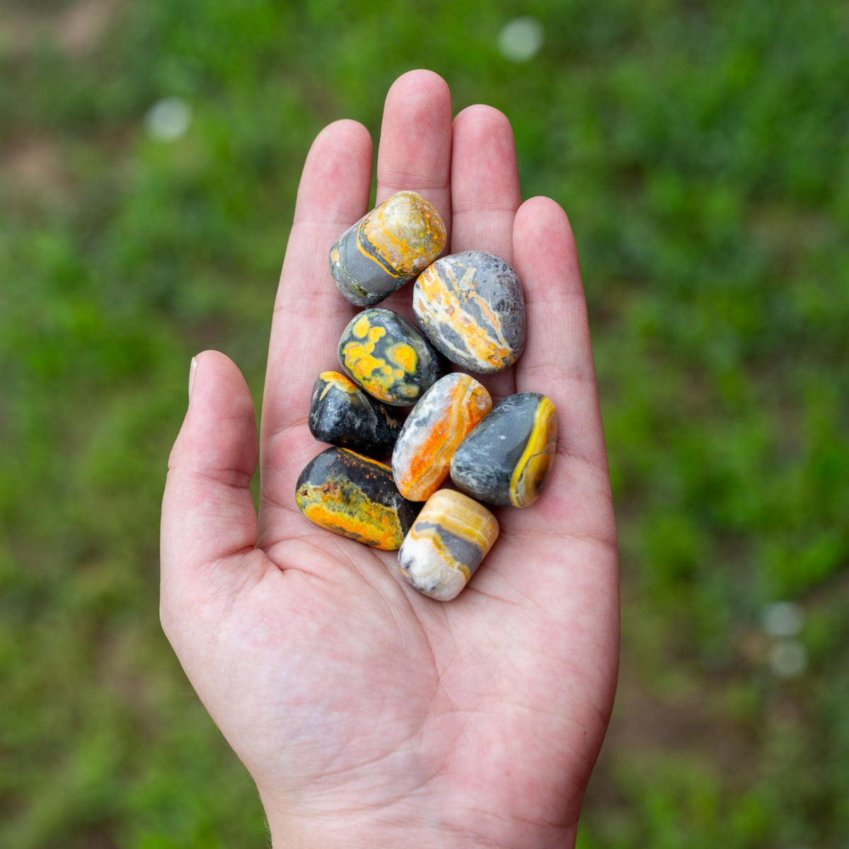 Bumblebee Jasper Tumbled