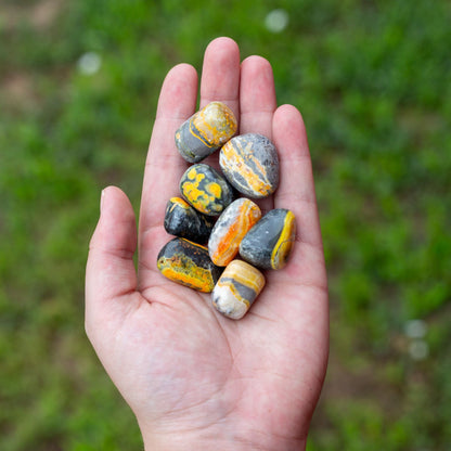 Bumblebee Jasper Tumbled