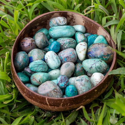 Chrysocolla Tumbled 1lb