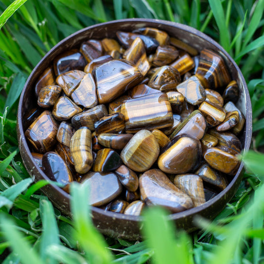 Gold Tiger's Eye Tumbled