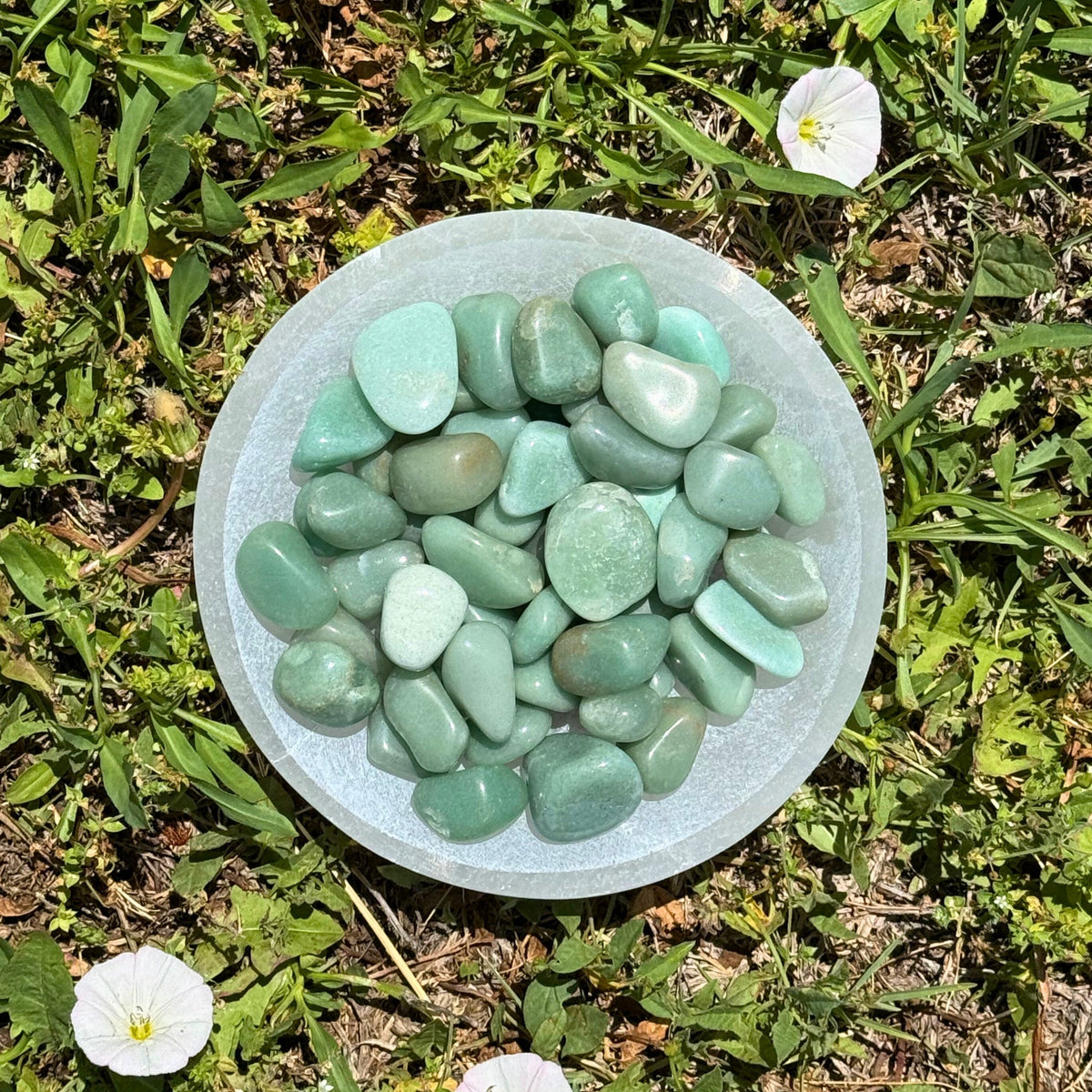 Green Aventurine Tumbled 1lb