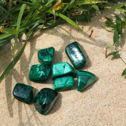 Malachite Tumbled 1lb