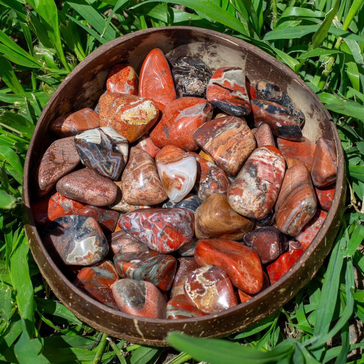 Red Brecciated Jasper Tumbled 1lb