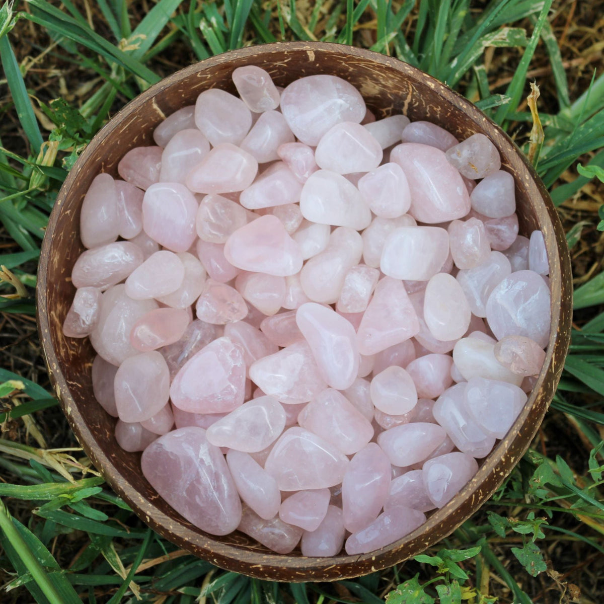 Rose Quartz Tumbled