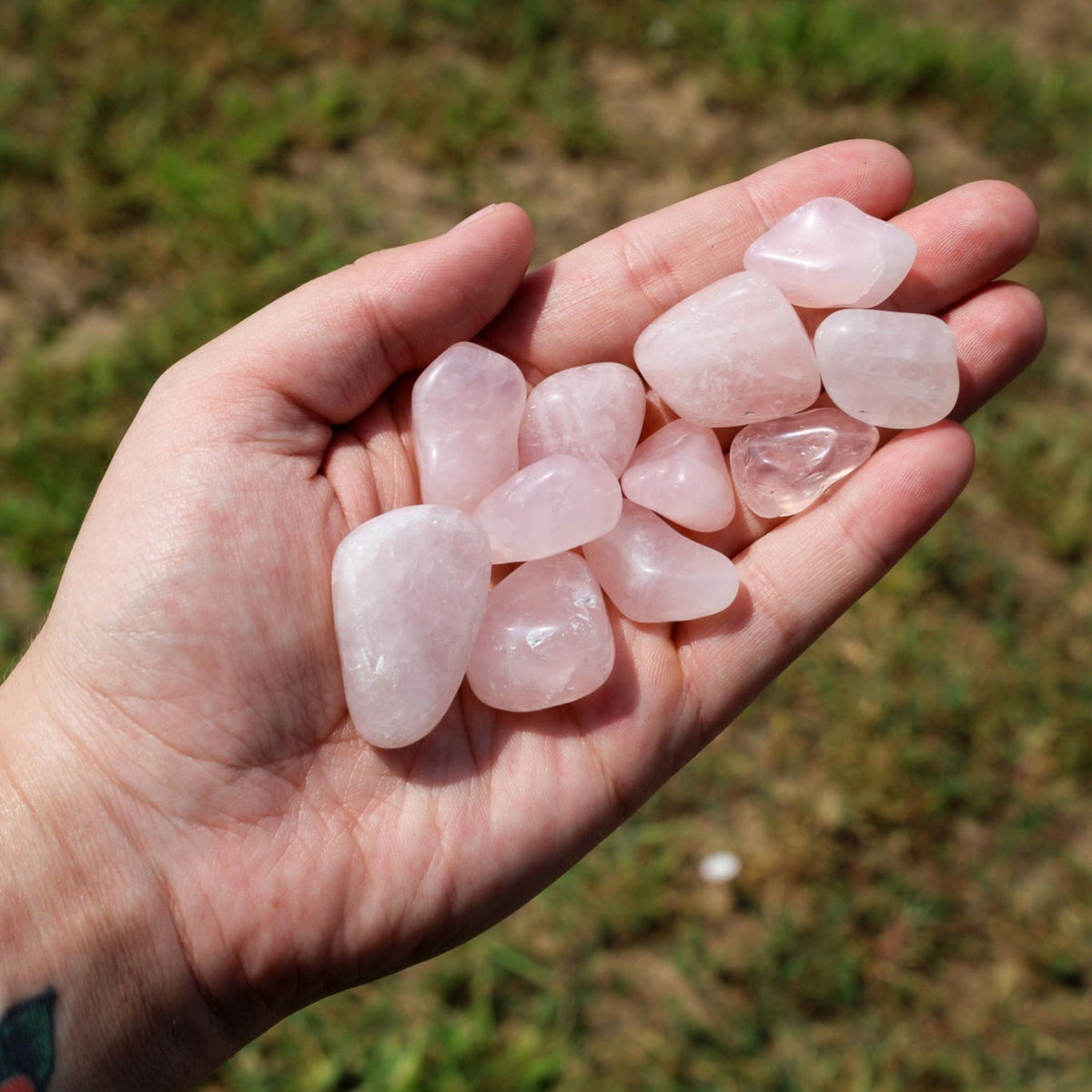 Rose Quartz Tumbled