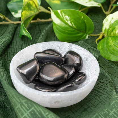 Shungite Tumbled 1lb