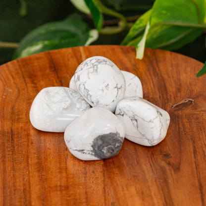 White Howlite Tumbled 1lb