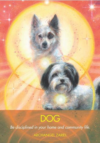 Archangel Animal Oracle Cards and Guidebook
