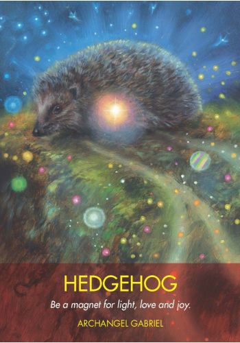 Archangel Animal Oracle Cards and Guidebook