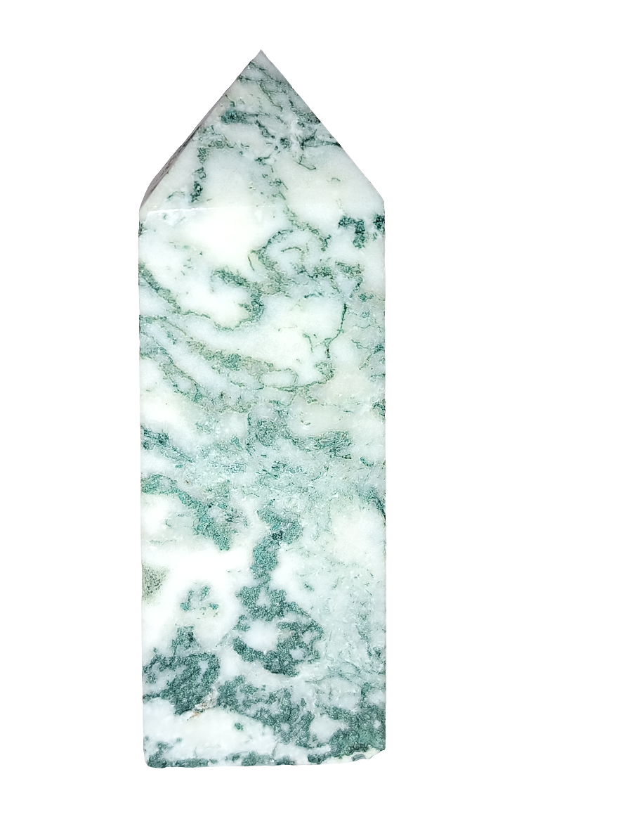 Tree Agate Point