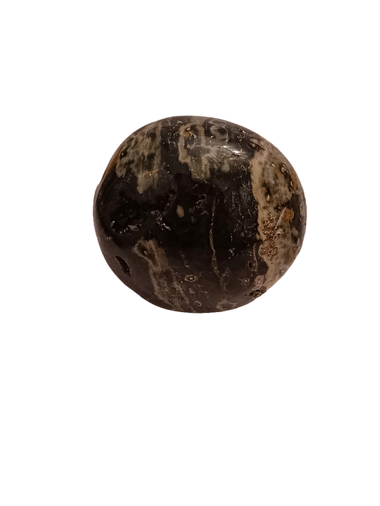 Ocean Jasper Palm Stone