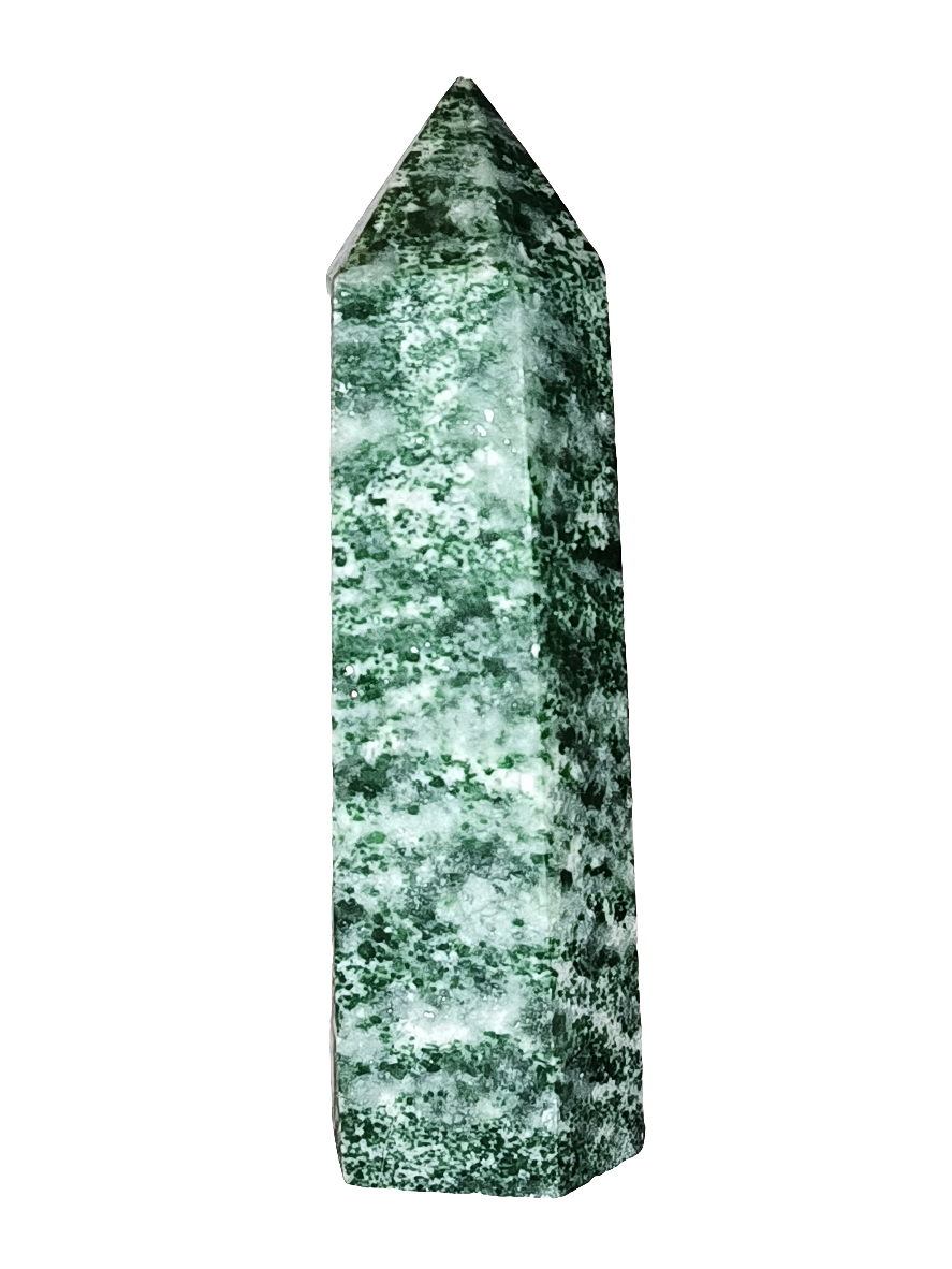 Tree Agate Point