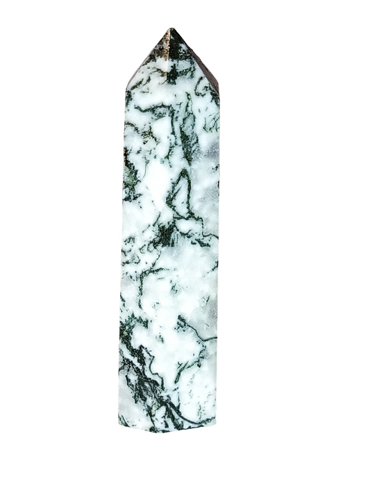 Tree Agate Point