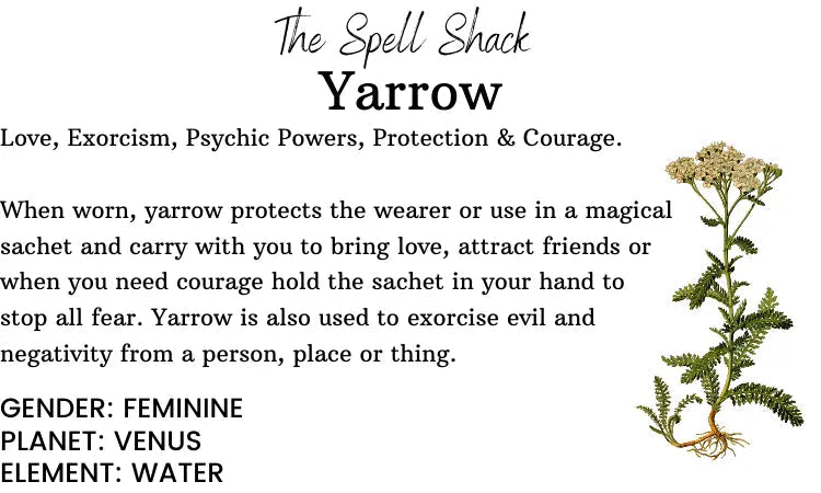 Yarrow