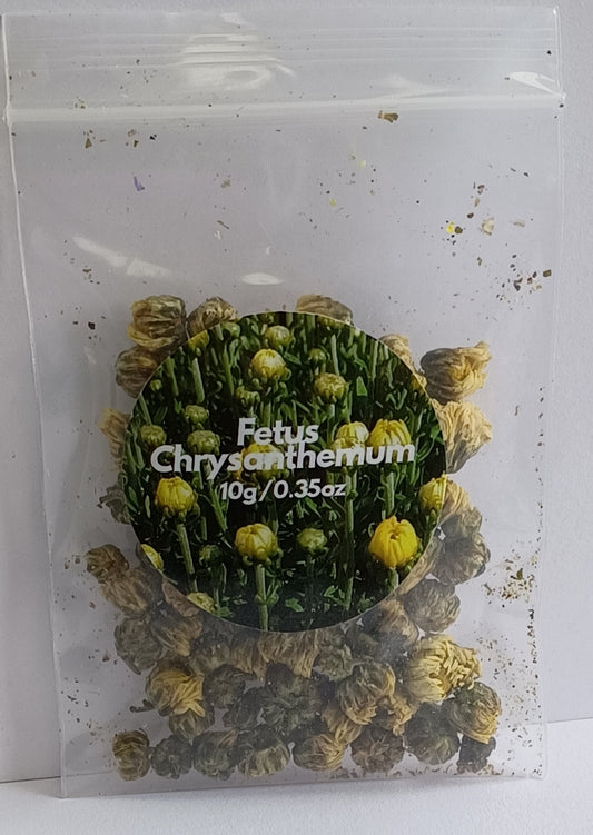 Fetus Chrysanthemum
